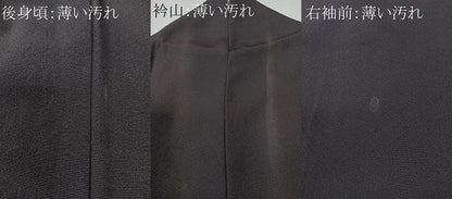 平和屋着物■訪問着　色紙花文　金彩　正絹　逸品　CABK9973xe