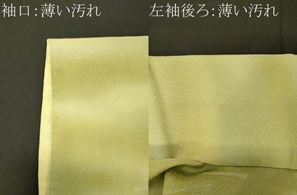 平和屋着物■上質な小紋　扇　暈し染め　銀糸　正絹　逸品　CABL0412oy