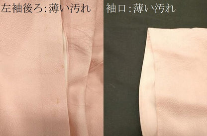 平和屋着物■上質な色無地　芝草花地紋　虹色　正絹　逸品　CABL0468oy