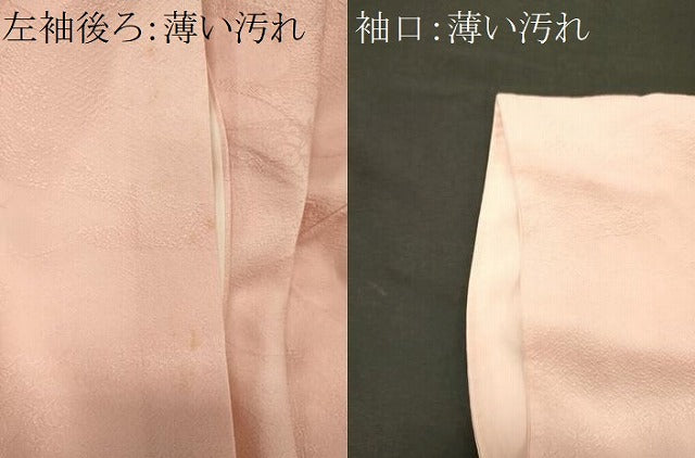 平和屋着物■上質な色無地　芝草花地紋　虹色　正絹　逸品　CABL0468oy
