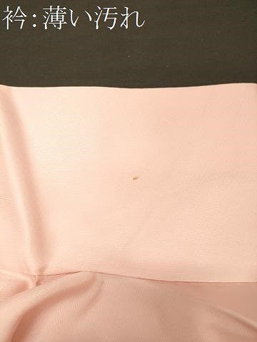 平和屋着物■訪問着　花鳥文　暈し染め　金銀彩　正絹　逸品　CABL0470oy