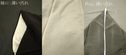 平和屋着物■豪華黒留袖　総刺繍　駒刺繍　吉祥尾長鳥文　金銀糸　正絹　逸品　CABL0484oy