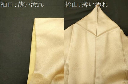平和屋着物■訪問着　雲取り文　暈し染め　正絹　逸品　CABL0485oy