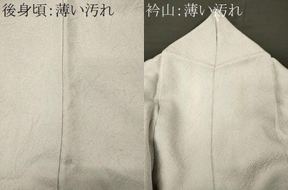 平和屋着物■訪問着　手描き　地紙重ね流水花松文　暈し染め　金彩　正絹　逸品　CABL0534oy