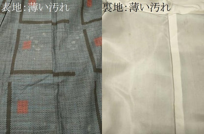 平和屋着物■上質な紬　幾何学文様　正絹　逸品　CABL0559oy