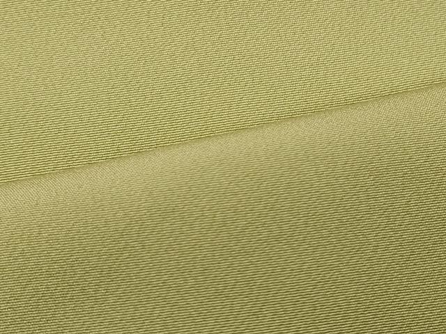 平和屋着物■上質な色無地　若芽色　ますいわ屋扱い　正絹　逸品　CABL0576oy