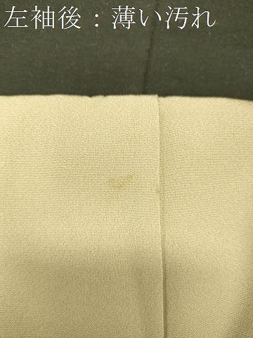 平和屋着物■豪華色留袖　作家物　人物風景松文　暈し染め　金彩　正絹　逸品　CABL0646oy