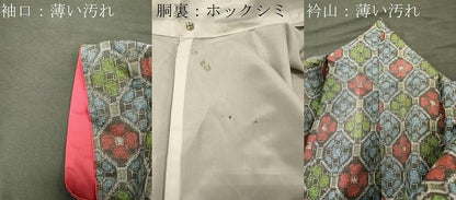 平和屋着物■上質な紬　吉祥文　正絹　逸品　CABL0675oy