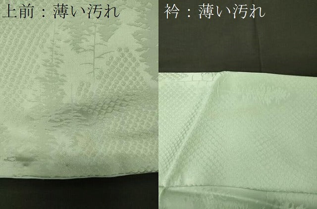平和屋着物■上質な色無地　樹林地紋　白緑色　正絹　逸品　CABL0685oy