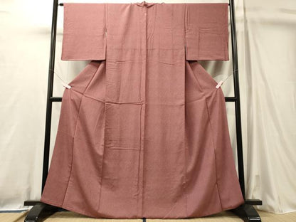 平和屋着物■江戸小紋　無病息災　正絹　逸品　CABL0707oy