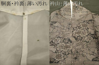 平和屋着物■上質な紬　雲取り草花文　正絹　逸品　CABL0744oy