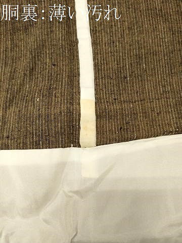 平和屋着物■上質な紬　吉祥間道　胴抜き仕立て　正絹　逸品　CABL0759oy