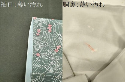 平和屋着物■上質な小紋　南天文　正絹　逸品　CABL0785oy
