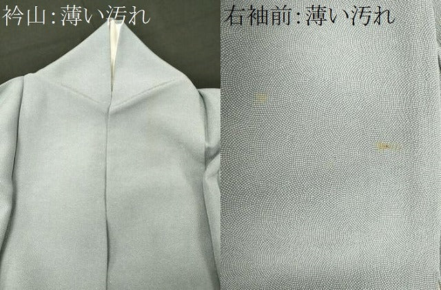 平和屋着物■江戸小紋　鮫小紋柄　正絹　逸品　CABL0792oy