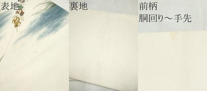 平和屋着物●塩瀬　九寸名古屋帯　手描き　人物文　金彩　正絹　逸品　CABL1011hy