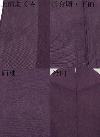 平和屋着物＊夏物　色無地　絽　滅紫色　正絹　逸品　CABL1221tx