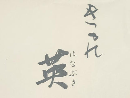 平和屋着物＊夏物　西陣　川島織物　洗える最高級着物　＜英＞はなぶさ謹製　六通柄　京袋帯　楓文　銀糸　たとう紙付き　CABL1254tx