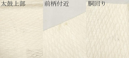 平和屋着物＊夏物　九寸名古屋帯　すくい織　トンボ　正絹　逸品　CABL1275tx