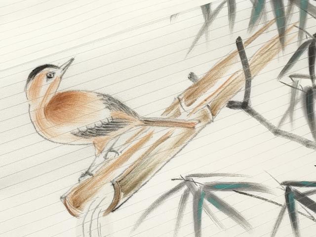 平和屋着物＊夏物　九寸名古屋帯　手描き　休み鳥　CABL1416tx