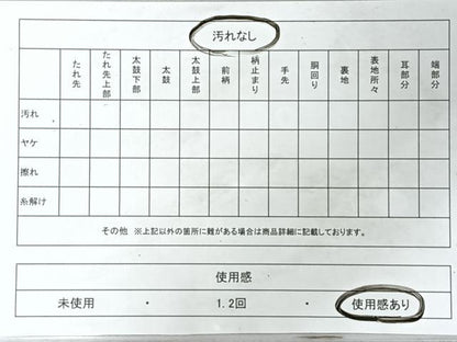 平和屋着物◎六通柄袋帯　孔雀羽文　銀糸　正絹　逸品　CABL1619nb