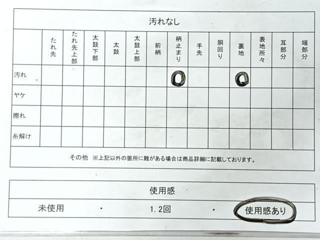 平和屋着物◎六通柄袋帯　草花文　金銀糸　正絹　逸品　CABL1620nb