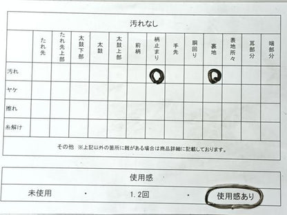 平和屋着物◎六通柄　本袋帯　花鳥文　純箔引　銀糸　正絹　逸品　CABL1646nb