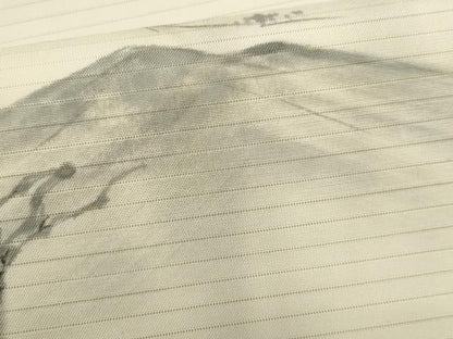 平和屋着物＊夏物　絽塩瀬　九寸開き名古屋帯　作家物　手描き　遠山風景文　正絹　逸品　CABL2281fb