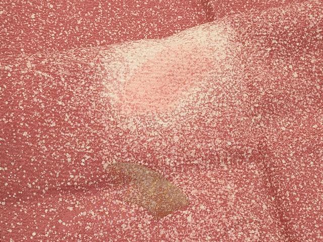 平和屋着物＃道行コート　寿光織　霞文　たたき染め　金糸　正絹　逸品　CABL2877in