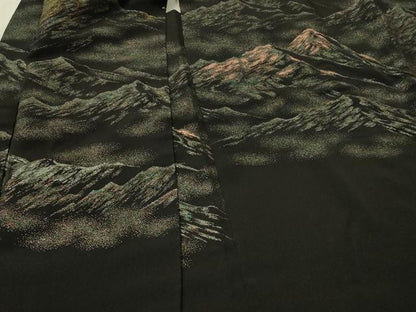平和屋着物＃羽織　寿光織　遠山文　黒地　金糸　正絹　逸品　CABL2984in