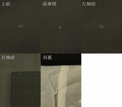 平和屋着物＃羽織　舞桜文　乱菊　黒地　金彩　正絹　逸品　CABL3075in