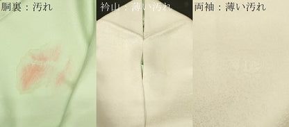 平和屋着物■訪問着　駒刺繍　枝葉文　金彩　正絹　逸品　CABL3206ev