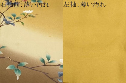 平和屋着物■訪問着　休み鳥枝花文　暈し染め　正絹　逸品　CABL3349ev
