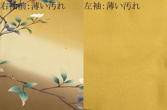 平和屋着物■訪問着　休み鳥枝花文　暈し染め　正絹　逸品　CABL3349ev