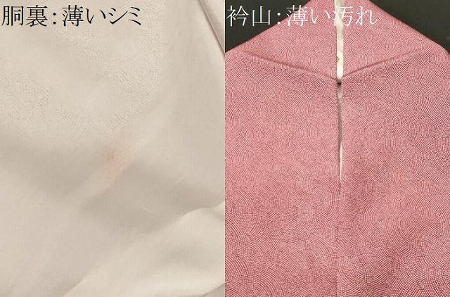 平和屋着物■江戸小紋　鮫小紋柄　正絹　逸品　CABL3362ev