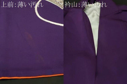 平和屋着物■訪問着　駒刺繍　吉祥絵巻文　打ち出の小槌　正絹　逸品　CABL3369ev