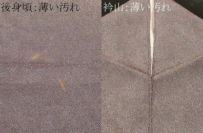 平和屋着物■江戸小紋　鮫小紋柄　正絹　逸品　CABL3375ev