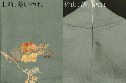 平和屋着物■訪問着　螺鈿　枝花文　暈し染め　金彩　正絹　逸品　CABL3398ev