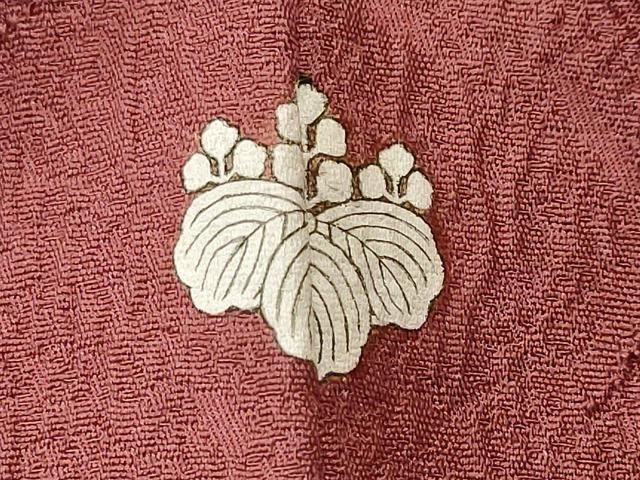 平和屋着物■上質な色無地　霞地紋　栗皮茶色　正絹　逸品　CABL3403ev