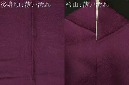 平和屋着物■上質な色無地　小花尽くし地紋　紫紺色　正絹　逸品　CABL3405ev