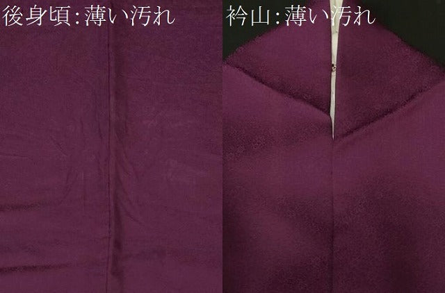平和屋着物■上質な色無地　小花尽くし地紋　紫紺色　正絹　逸品　CABL3405ev