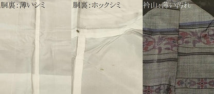平和屋着物■本場大島紬　9マルキ　横段花唐草文　正絹　逸品　CABL3458ev