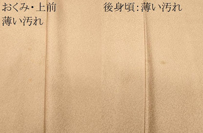 平和屋着物■二代目清次郎　手描き　色無地　霞地紋　白茶色　正絹　逸品　CABL3490ev