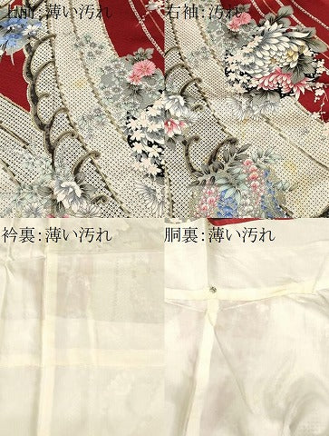 平和屋着物■豪華振袖　駒刺繍　雪輪草花文　藤花房　金彩　正絹　逸品　CABL3521ev