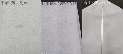 平和屋着物■訪問着　作家物　枝松文　暈し染め　金銀彩　正絹　逸品　CABL3545ev