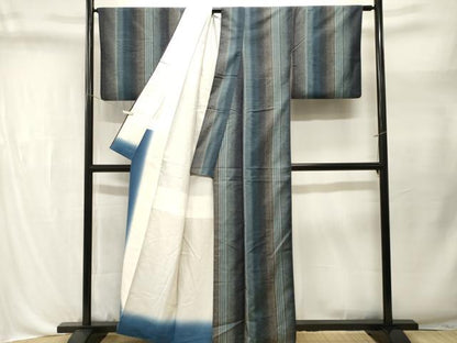 平和屋着物■上質な小紋　間道　正絹　逸品　CABL3557ev