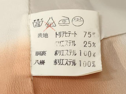平和屋着物■小紋　霞文　杢目地紋　暈し染め　洗える着物　CABL3571ev