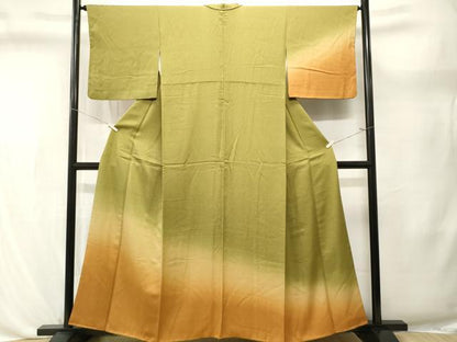 平和屋着物■訪問着　江戸小紋　霞文　鮫小紋柄　暈し染め　正絹　逸品　CABL3601ev