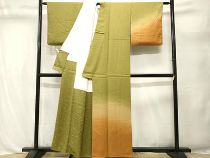 平和屋着物■訪問着　江戸小紋　霞文　鮫小紋柄　暈し染め　正絹　逸品　CABL3601ev