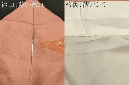平和屋着物■訪問着　刺繍　道長花文　金彩　正絹　逸品　CABL3609ev