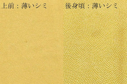 平和屋着物■江戸小紋　鮫小紋柄　正絹　逸品　CABL3681ev